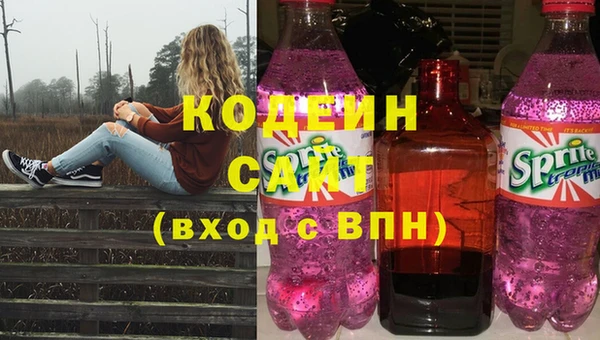 прущие грибы Абаза