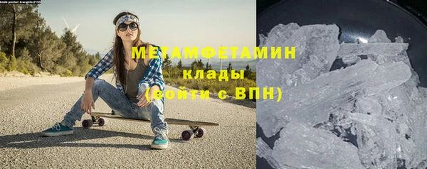 прущие грибы Абаза