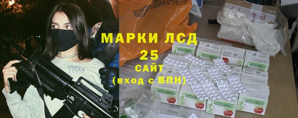 прущие грибы Абаза